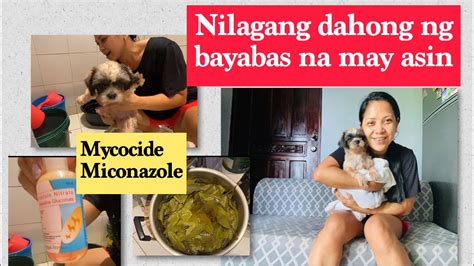 nag pakantot sa aso|Ano ang Mabisang gamot sa pangangati ng aso .